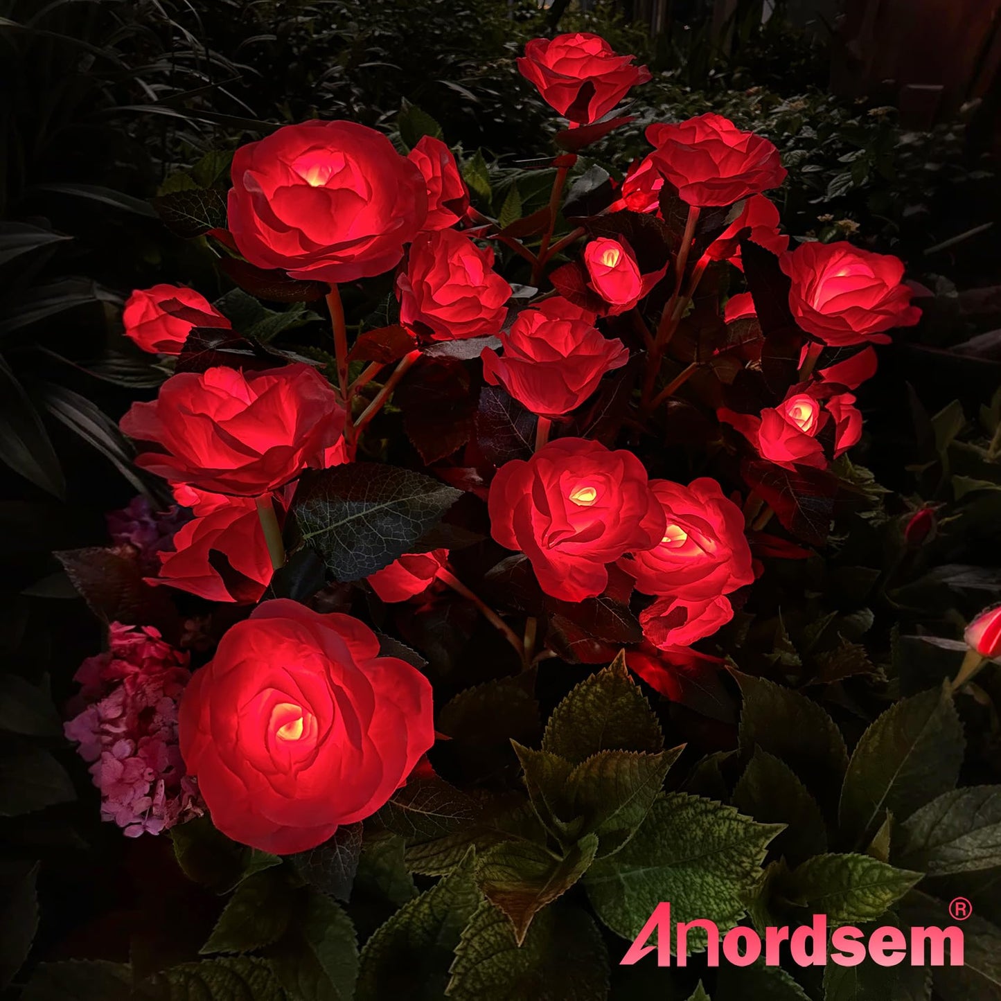 Anordsem Solar Garden Lights - 2 Pack Waterproof Red Fabric Roses - LED Landscape Lighting for Yard and Cemetery