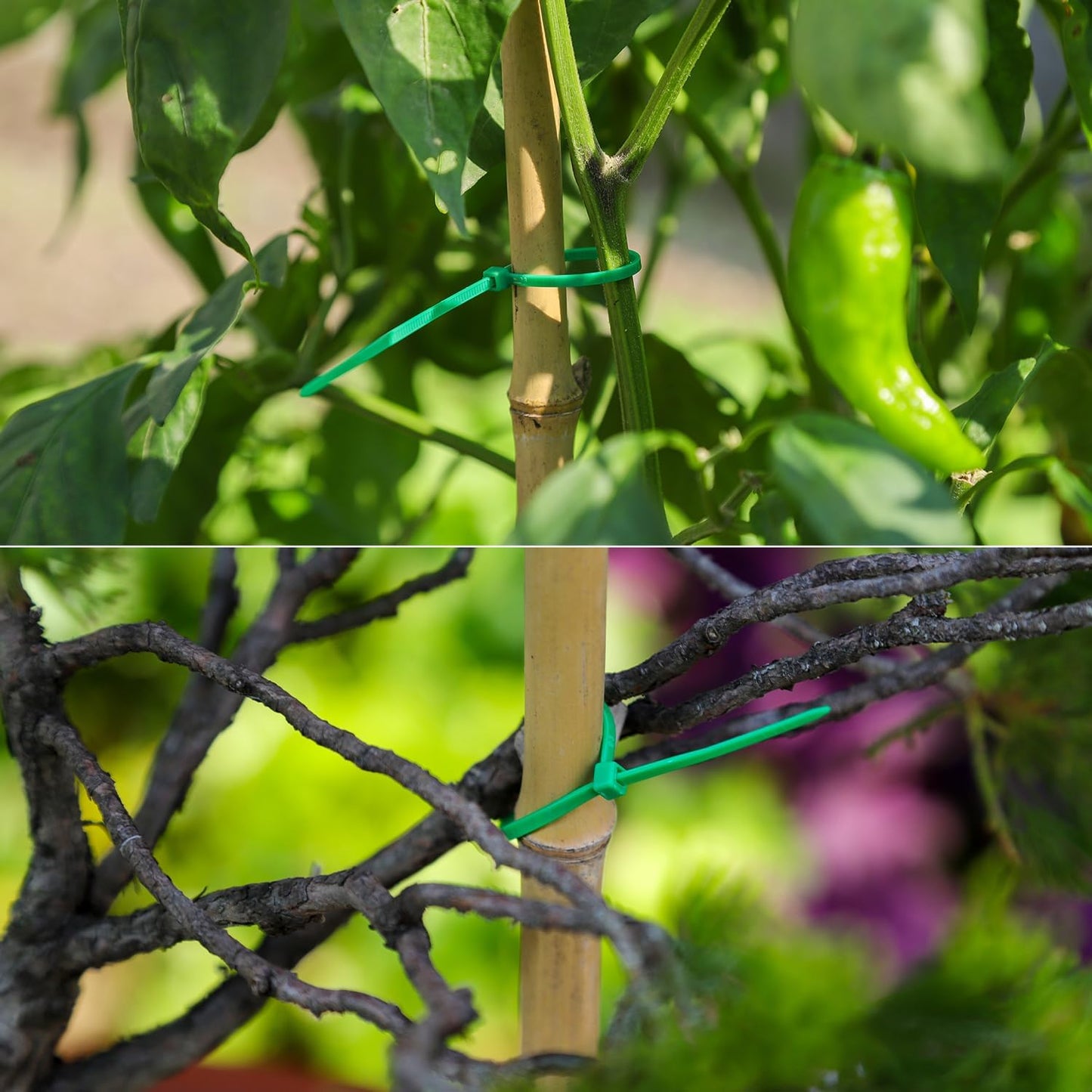 4 inch Green Zip Ties, Nylon Garden Cable Zip Ties Self Locking Cable Ties Twist Ties, Multi-Purpose Cable Tie (100 Pcs)