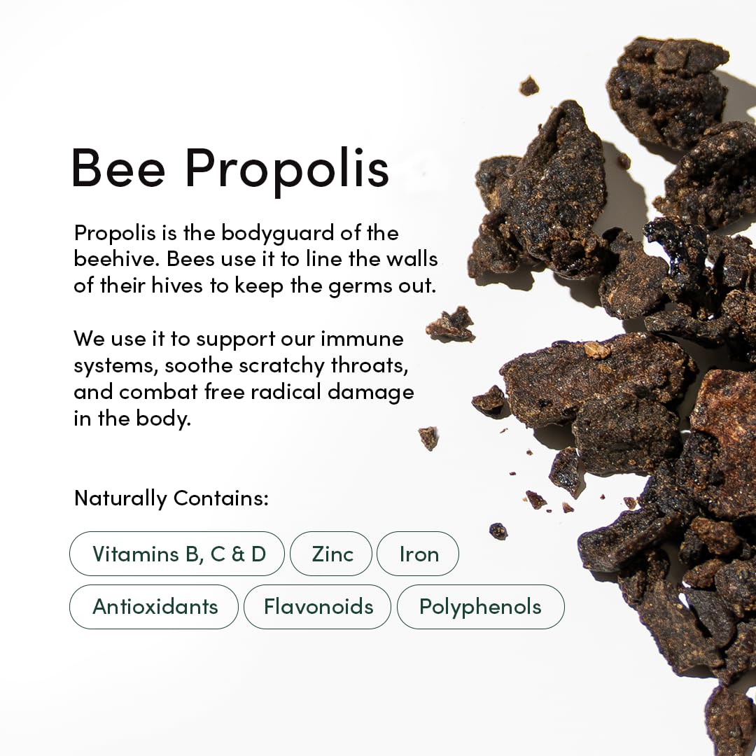 Beekeeper's Naturals Propolis Throat Spray, Natural Immune Support & Sore Throat Relief - Antioxidants, Keto, Paleo, Gluten-Free, 1.0 oz (Pack of 2)