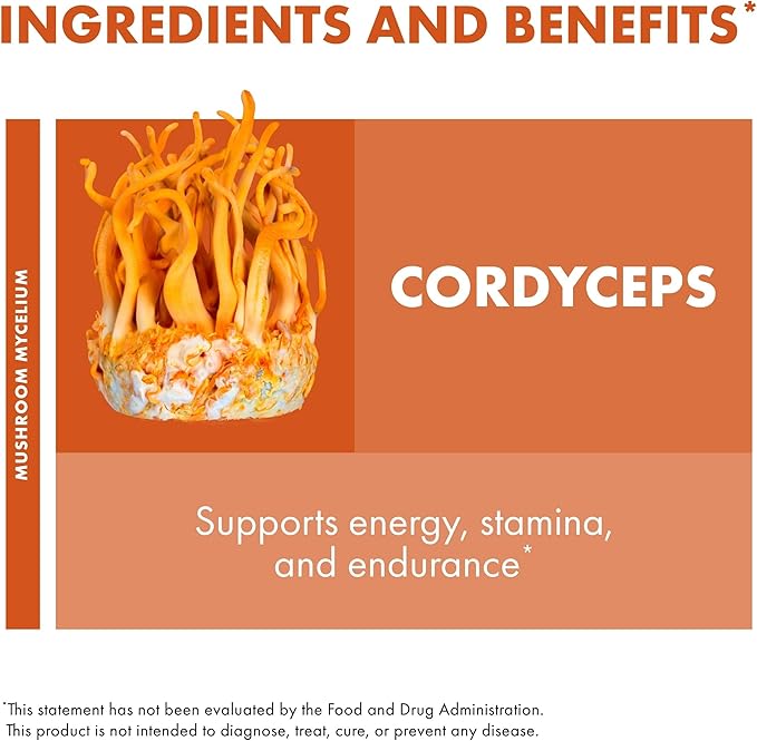Host Defense Cordyceps Capsules - Immune & Energy Support Supplement - Kidney Health Supplement with Cordyceps - Fitness Support Supplement to Aid Oxygen Uptake - 30 Capsules (15 Servings)*