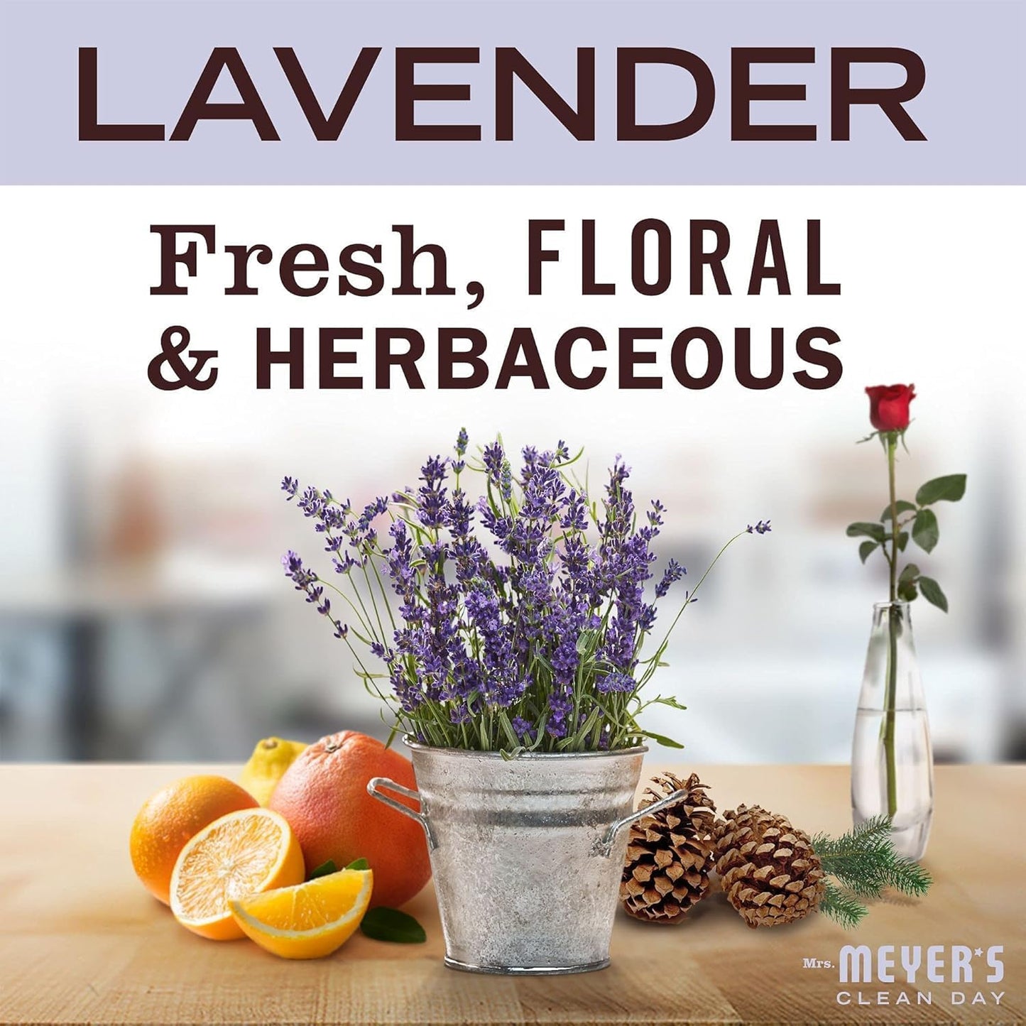 MRS. MEYER'S CLEAN DAY Liquid Dish Soap, Biodegradable Formula, Lavender, 16 fl. oz - Pack of 3