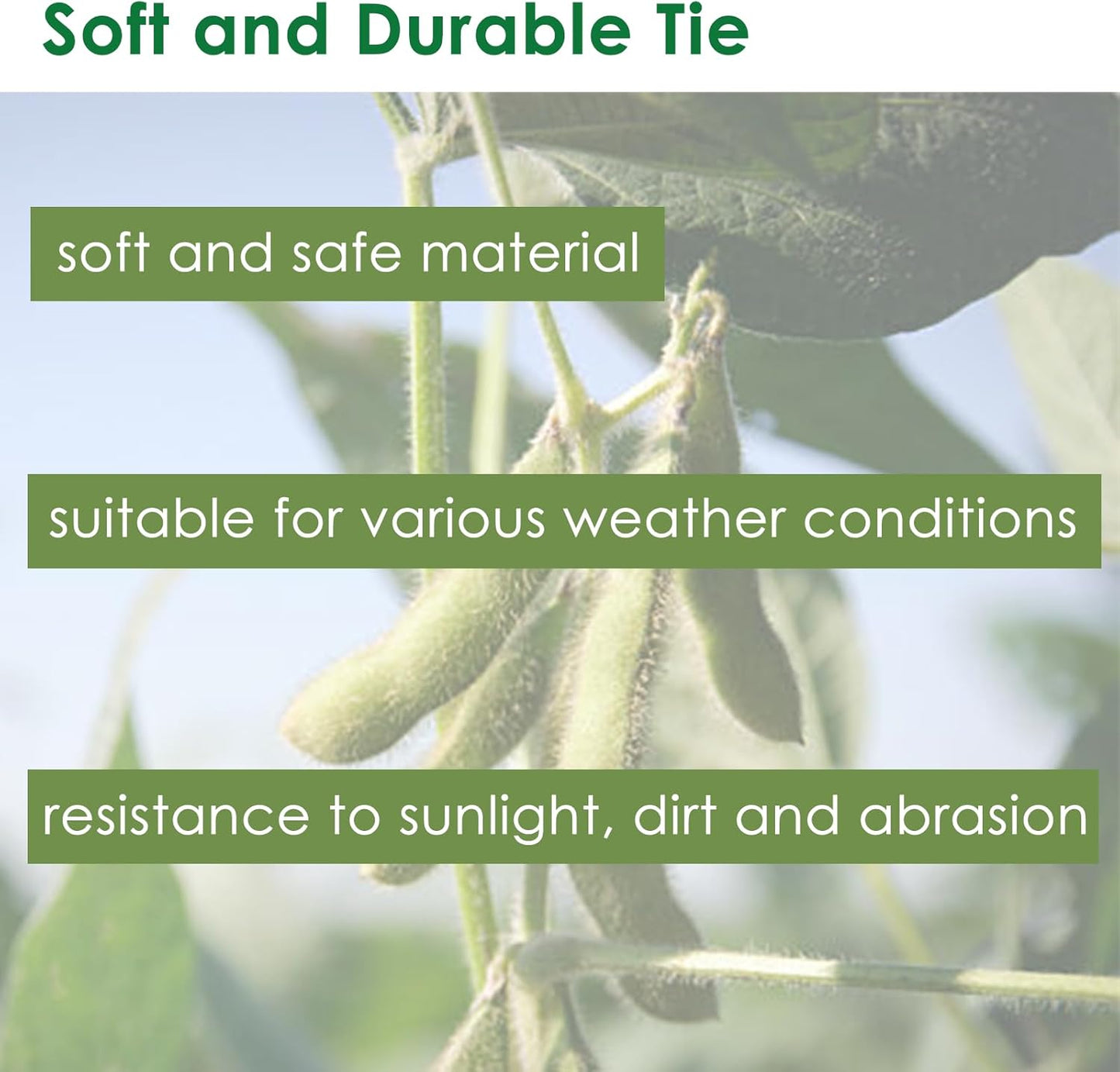 Soft Plant Tie Garden Plant Twist Tie TPR Plant Supply, for Supporting and Fixing Garden Planting Branches Vines, Stems, for Garden, Office, Home Organizing (164ft /3.5mm Diameter, Green)
