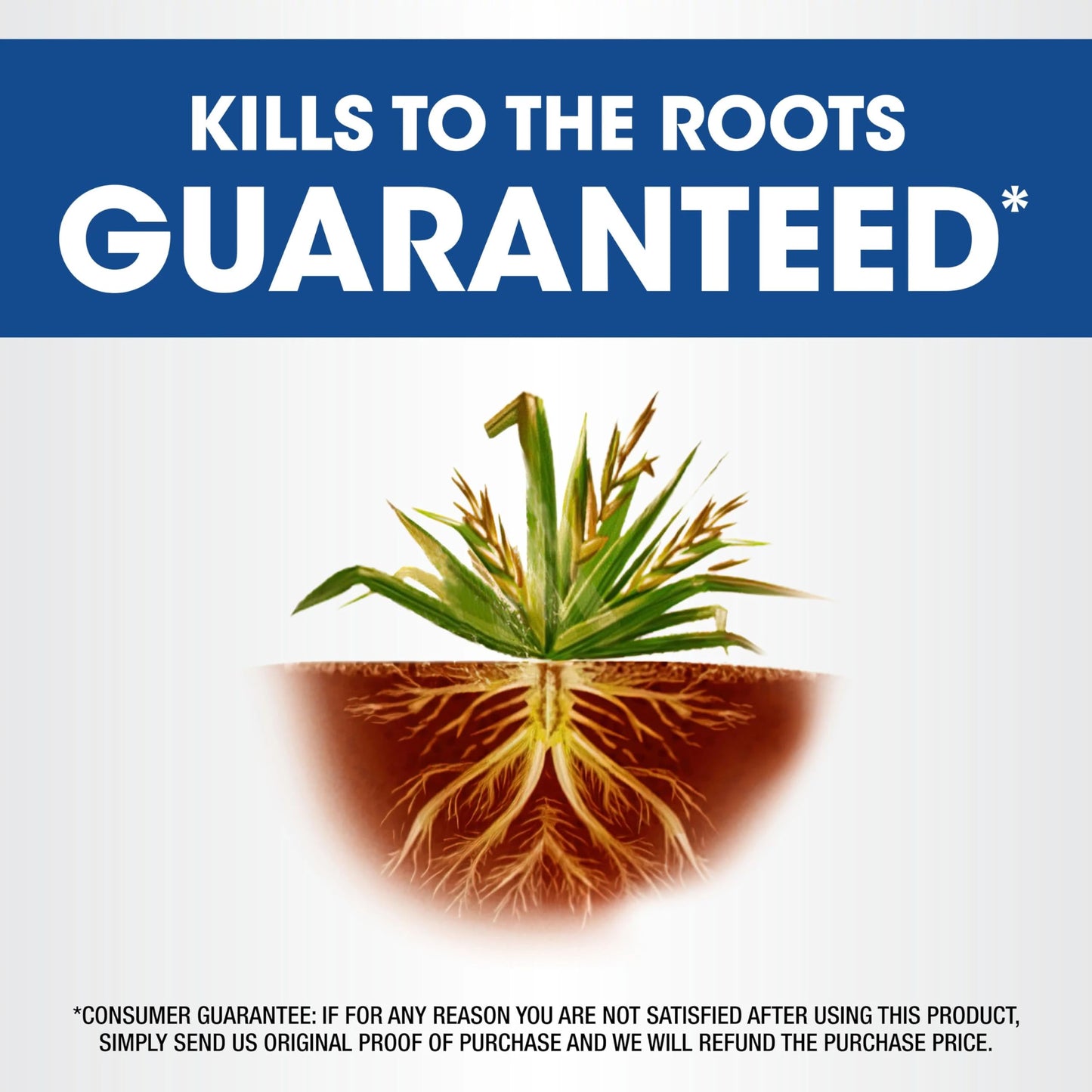 Roundup Weed & Grass Killer₄ Concentrate, Use in and Around Flower Beds, Walkways and Other Areas of Your Yard, 16 fl. oz.