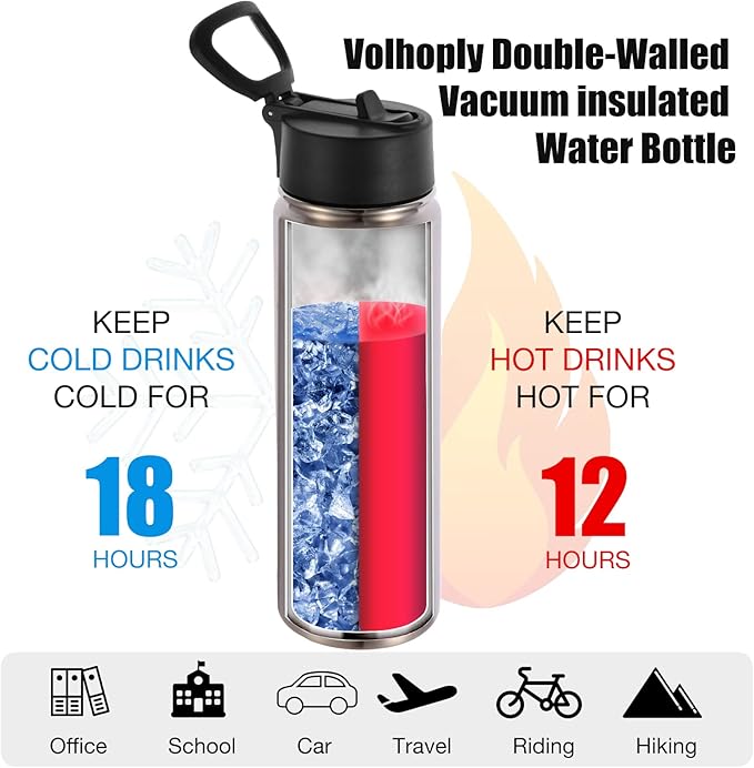 Volhoply 24oz Insulated Water Bottle With Straw Bulk 6 Pack,Metal Wide Mouth Water Bottles With Handle Lid Keep Cold,Reusable Double Wall Thermos,Powder Coated Sport Bottle For Holder(Sliver,6 Count)