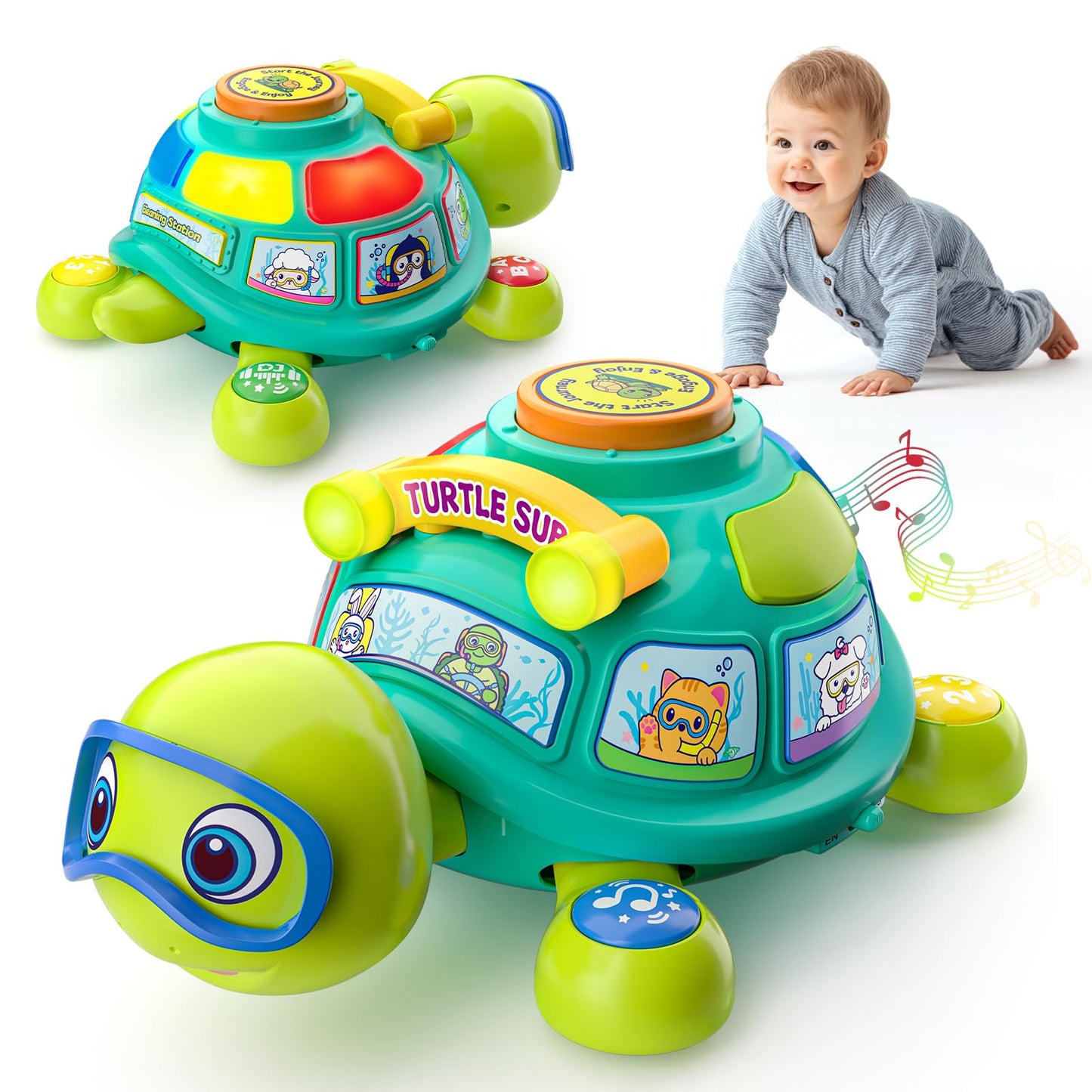 Zardali Baby Toys 6-12 Months, Musical Turtle Infant Light up Developmental Toy for 3-6 4 5 7 8 9 10 Month, 9-12-18 Months Baby Boy Girl Gift Present, Educational Bilingual Crawling Tummy Time Toy