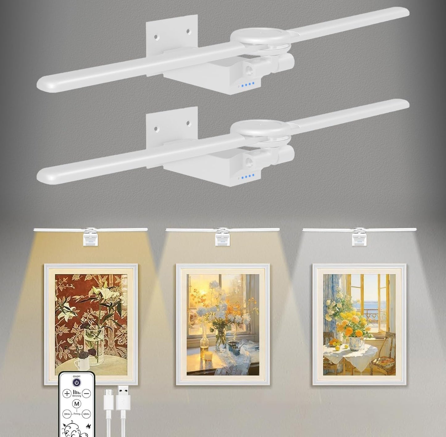 Cotaros Picture Light for Wall, 18in Rechargeable Art Light, Remote Control, 2 Pack, White