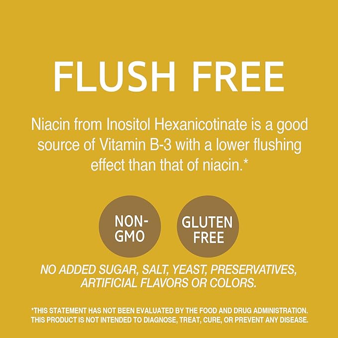 Niacin Flush Free 500 Milligrams 110 Capsules