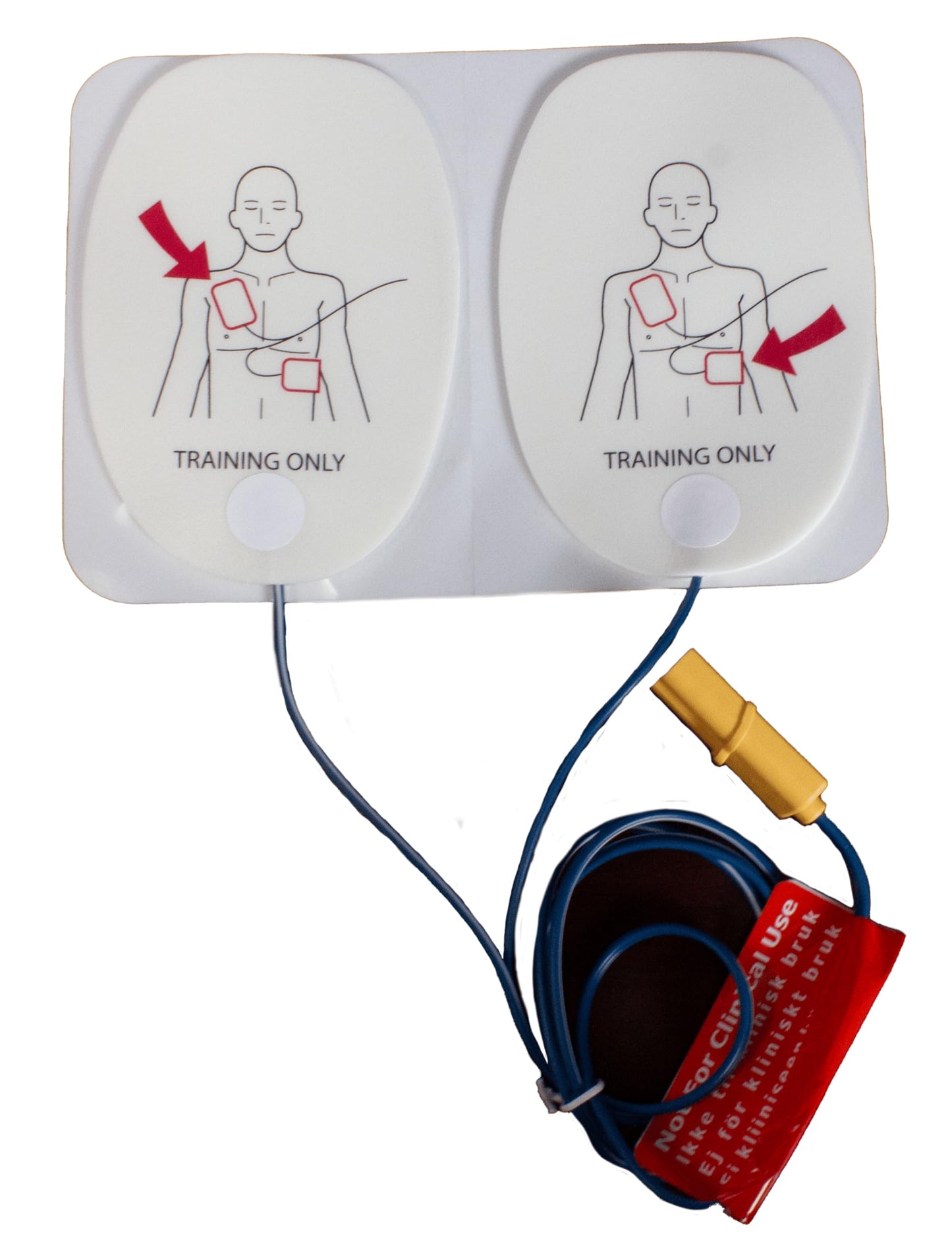 ARC AEC Adult AED Trainer Placement Pads – American Red Cross Training Pads, Illustrated, Reusable, No Shock, 6-Pack