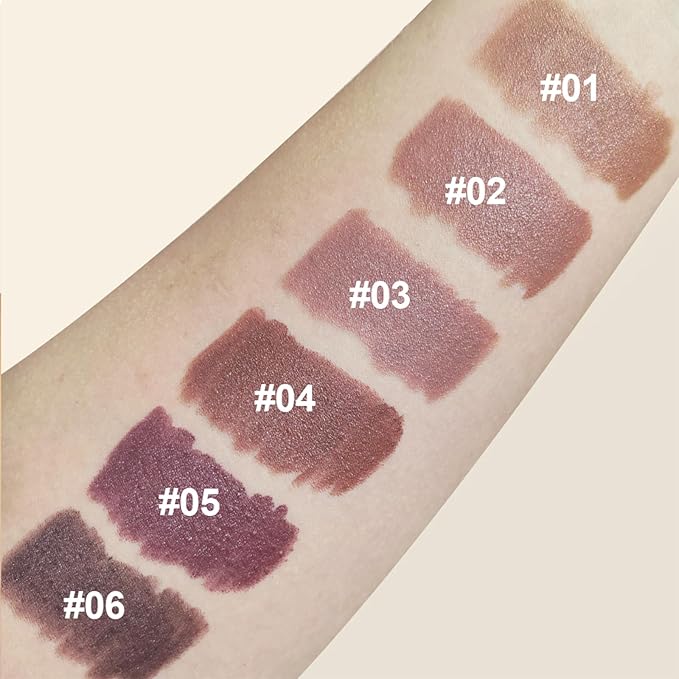 Erinde Matte Lipstick Crayon for Women, Dark Purple Brown 24 Hour Lipstick Lip Liner Pencil, Neutral Lip Stick Long Lasting Waterproof, Vegan & Cruelty-Free, 06
