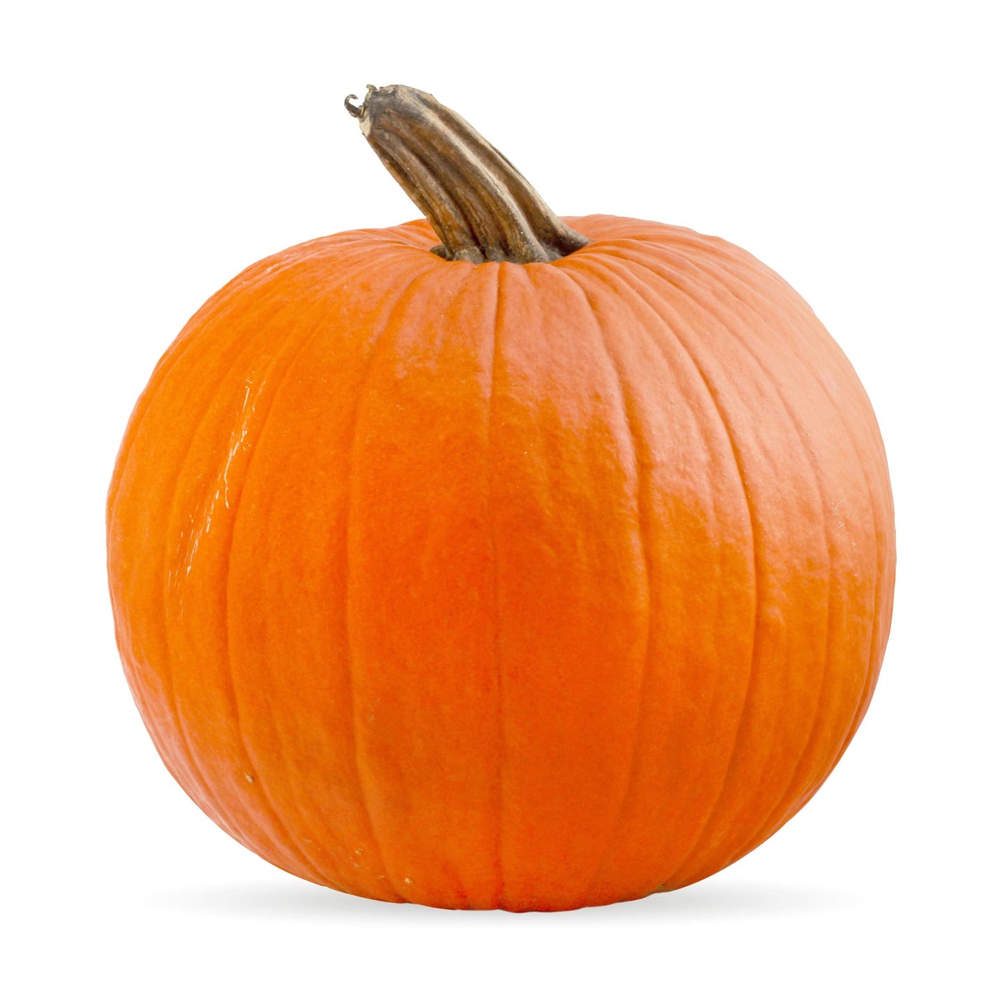 PRODUCE Organic Pumpkin Pie Squash