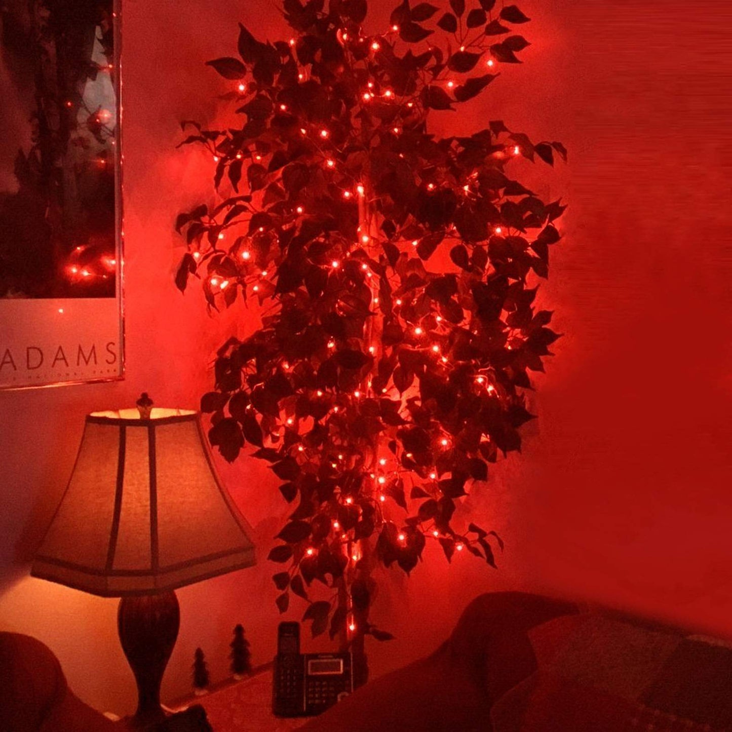 Ruichen Plug In Fairy Lights With Switch  Waterproof 33 Ft 100 Led Silver Wire Starry String Firefly Lights For Christmas  MotherS Day  Thanksgiving  Parties  Ceiling  Vases  Craft  Red