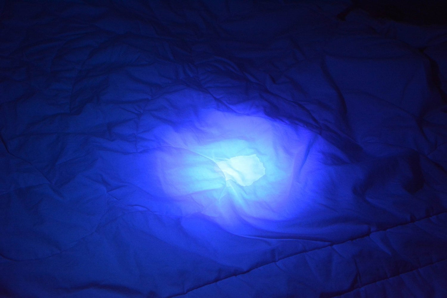 Wayllshine Uv Flashlight - 395Nm High Power Led, 3 Modes, 10 Yard Range, Aluminum, Blacklight For Pet Urine & Stain Detection