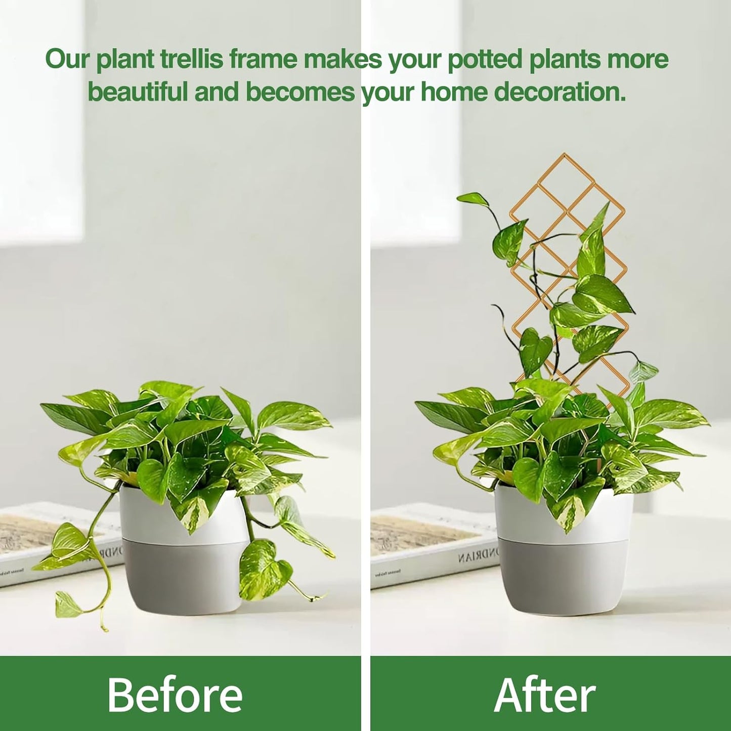 Plant Trellis for Climbing Plants Indoor, 16.75 Inch Gold Small Garden Metal Houseplant Trellis for Potted Plants Outdoor with Different Patterns for Vine Ivy Flower Plant Support Lover Gifts Lattice
