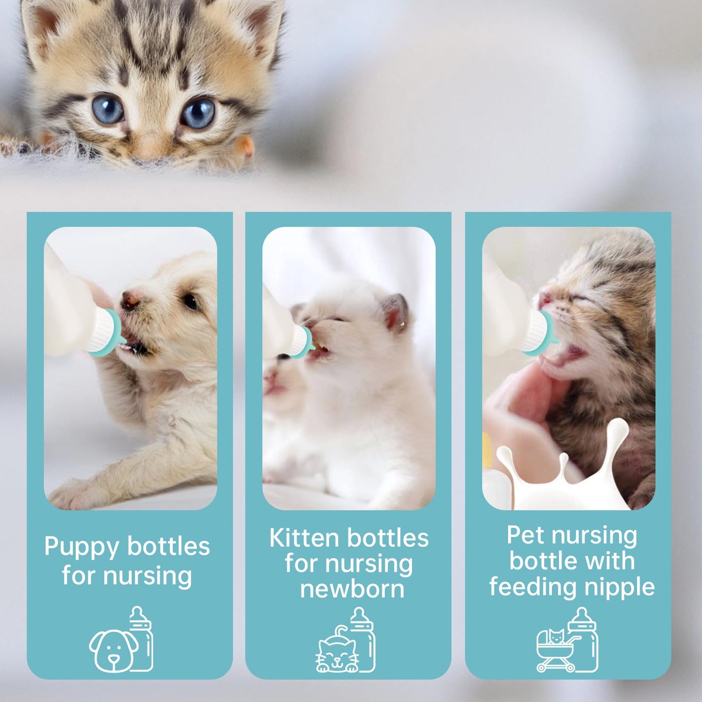 Xuandea 5Pack Kitten Bottle for Nursing Puppy Milk Kitten Bottles Feeding Kit Silicone Nipple for Newborn Pets Kittens, Puppy,Squirrel (Green)