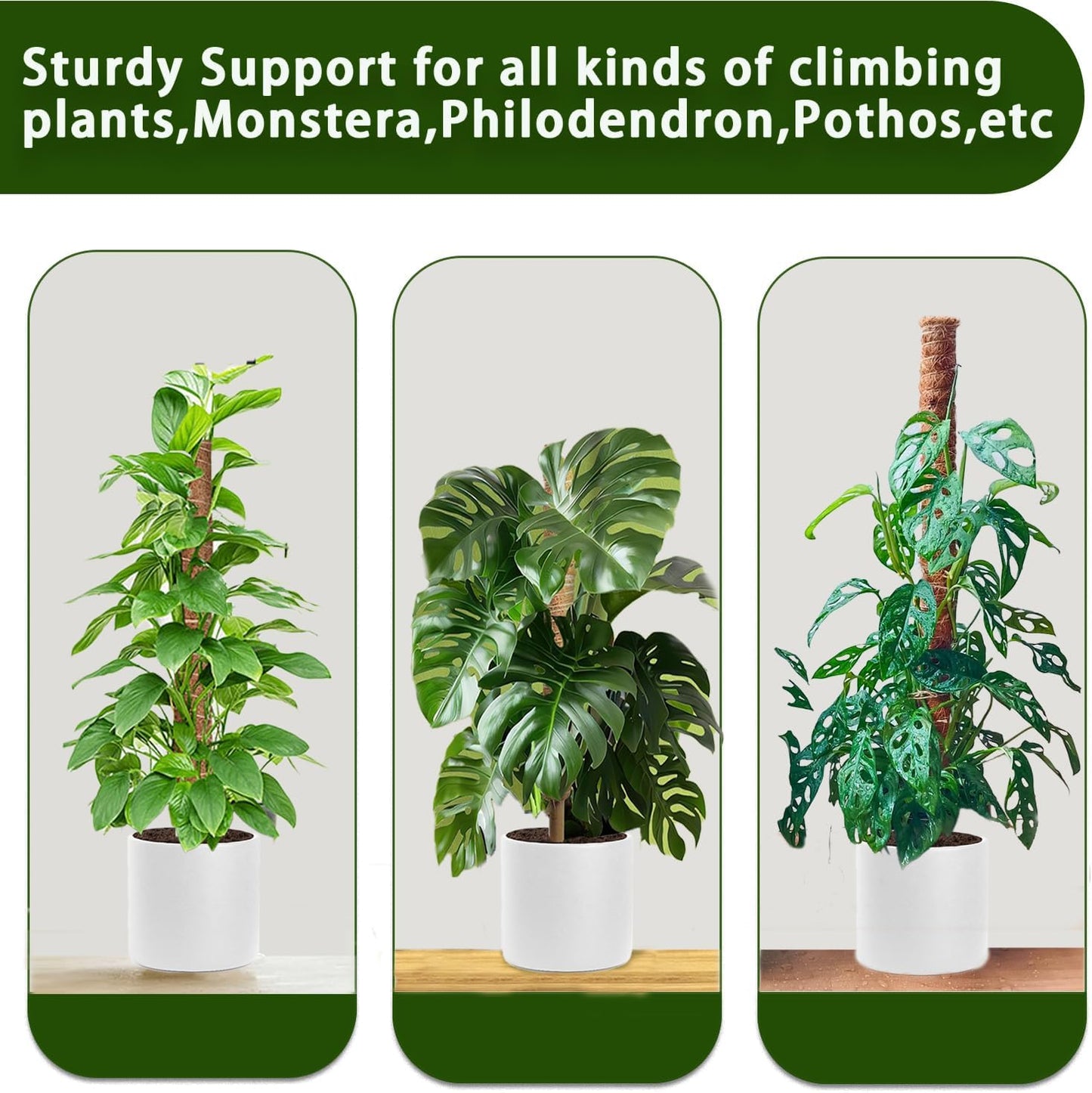 Moss Pole, 4 Pack 17Inch Monstera Plant Support for Climbing Plants Accessories Indoor -Stackable Moss Poles Plant Support Stakes -Coir Plant Pole Sticks for Potted Plants -Pothos, Tall Plant Trellis