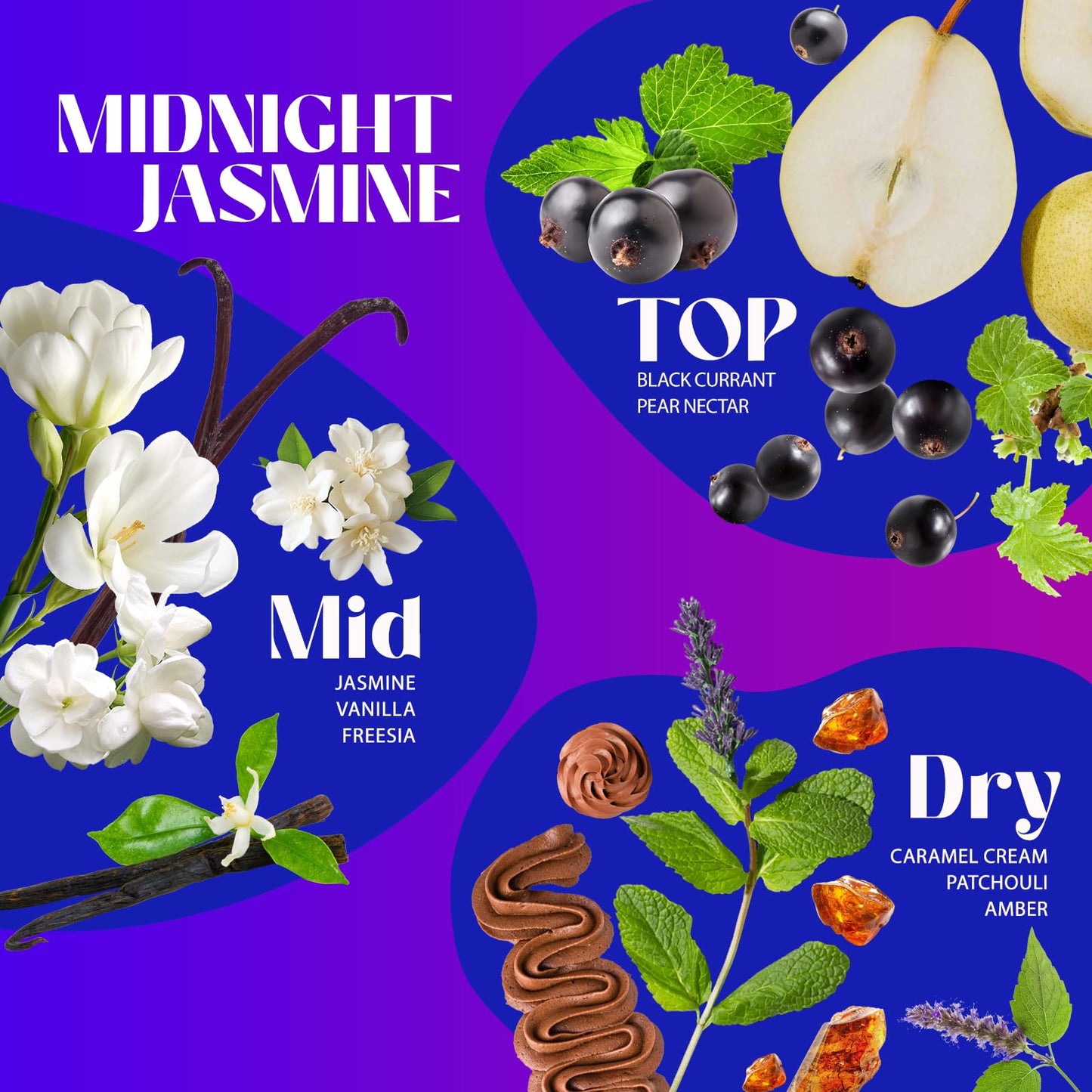 Sttes Perfume 706# (MIDNIGHT JASMINE) – Eau De Parfum 100ml (3.4 fl oz) – Black Currant, Jasmine, Vanilla