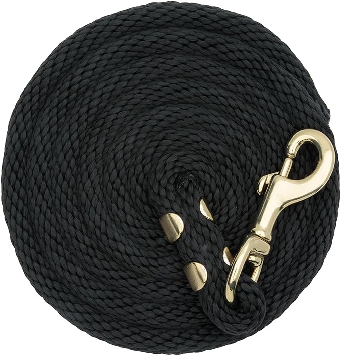 Weaver Equine Performance Lead Rope, Long Horse Lead Rope with Quick Halter Attachment, Soft Comfort Grip, Barn Horse Tack...
