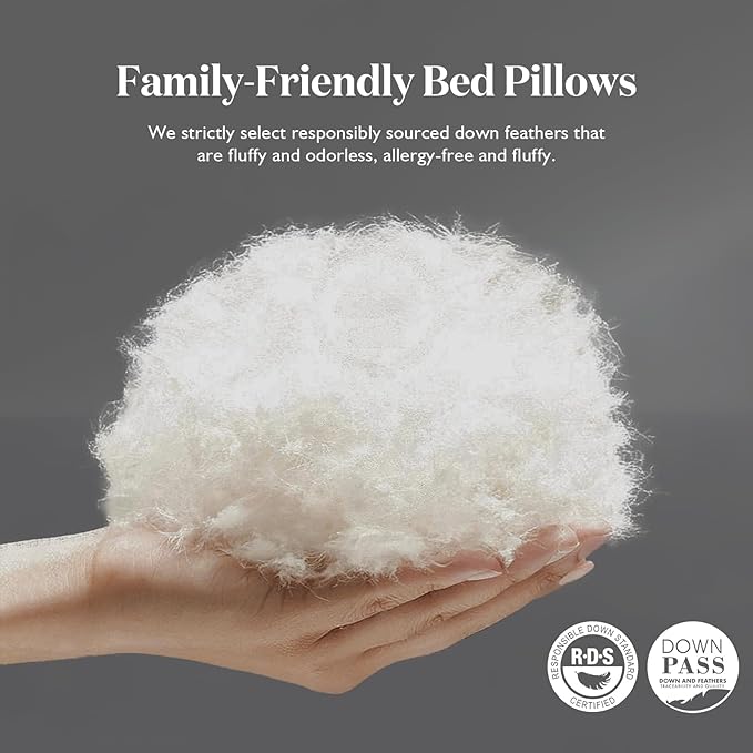 BPC Luxury Feather Down Pillow Standard Size Set of 2 - Medium-Firm Feather Pillow, 3-Chamber Organic Cotton Cover Bed Pillow Inserts, Wrapped in Polyester, 20x26 Inches