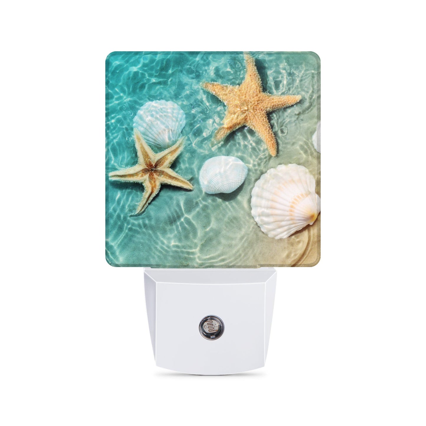 Caifujiqi Night Light Plug-in Smart Sensor LED Lamp, Energy Efficient, Starfish Decor, Model: Caifujiqi-Night Light-Starfish 4