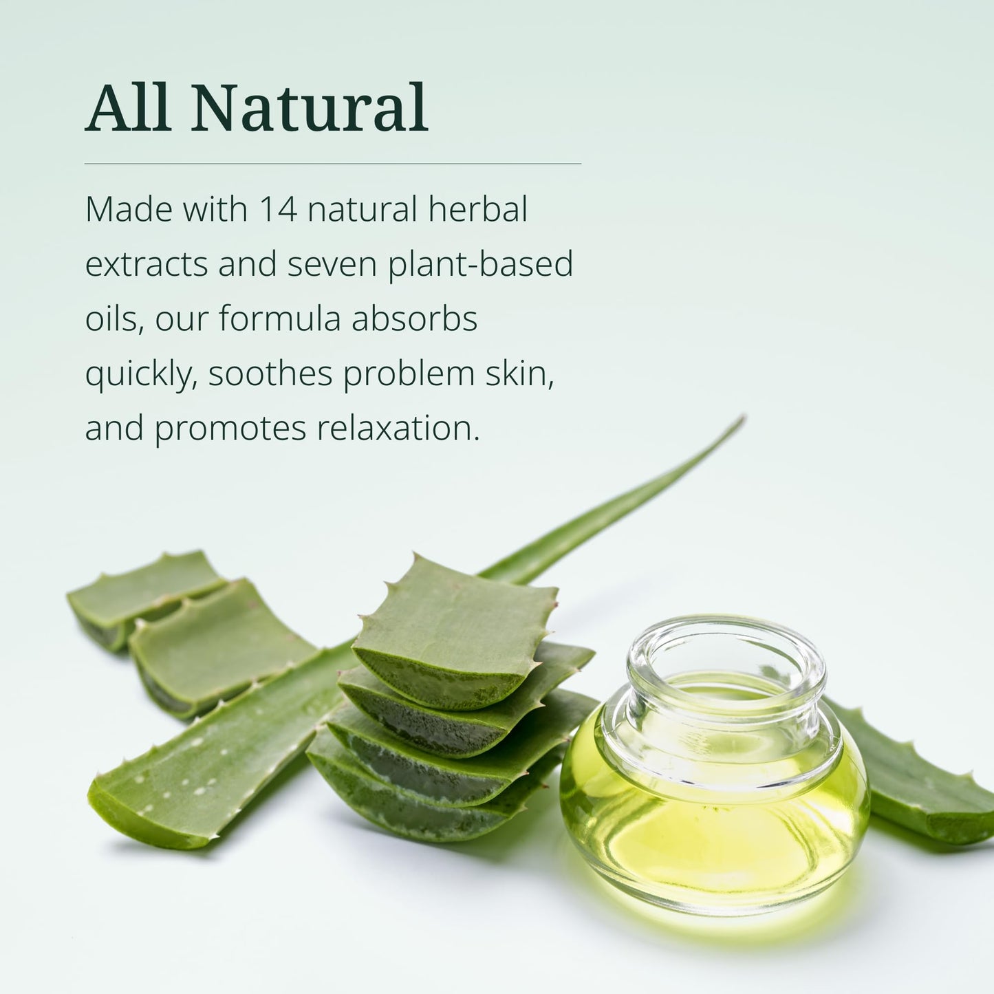 Century Systems H.E.A.L. QUICK Oil - 3.4 oz - Includes 14 Herbal Extracts, 15 Natural Oils, Vitamins A, D3 & E + Biotin - For No