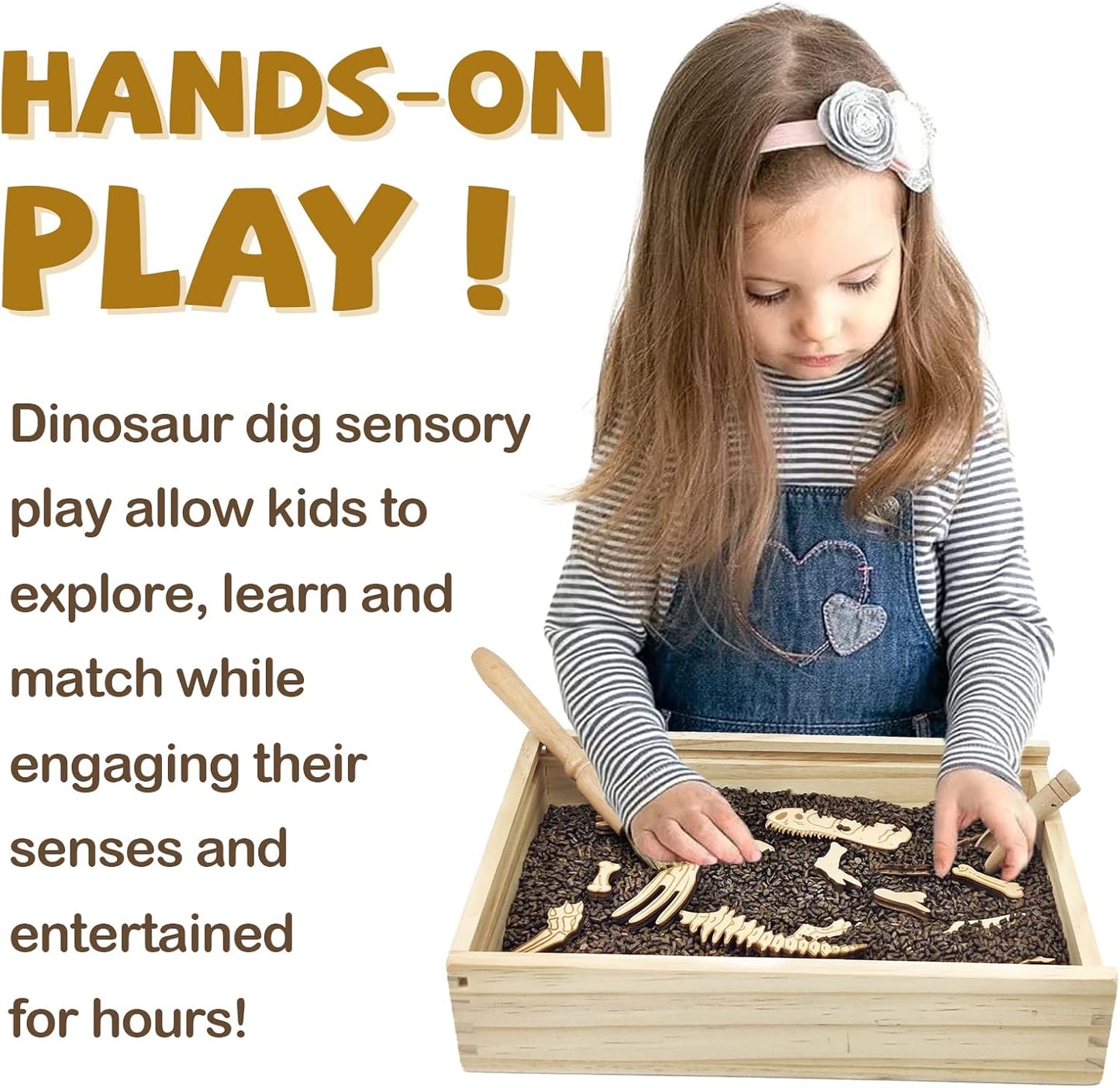 Xylolin Dinosaur Excavation Archaeology Dig Kit for Kids, Fossil Explore Sensory Bin Toys, Dino Skeletons Bones Puzzle Game, Archaeology Science STEM Toys for Boys and Girls (Tyrannosaurus)