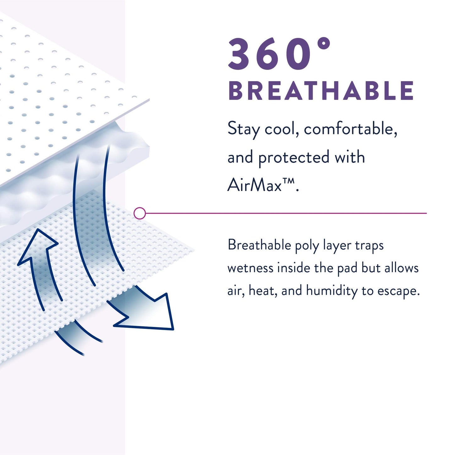 Prevail Proven | X-Large Pull-Up | Women's Per-Fit Incontinence Protective Underwear | Extra Absorbency | 56 Count