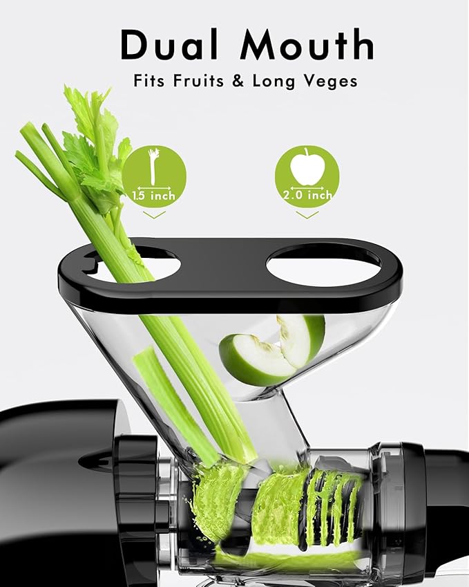Slow Masticating Juicer Machine – Dual Feed Chute, Easy to Clean, Quiet Operation, High Juice Yield, BPA-Free Cold Press Juicer for Fruits & Vegetables, Black