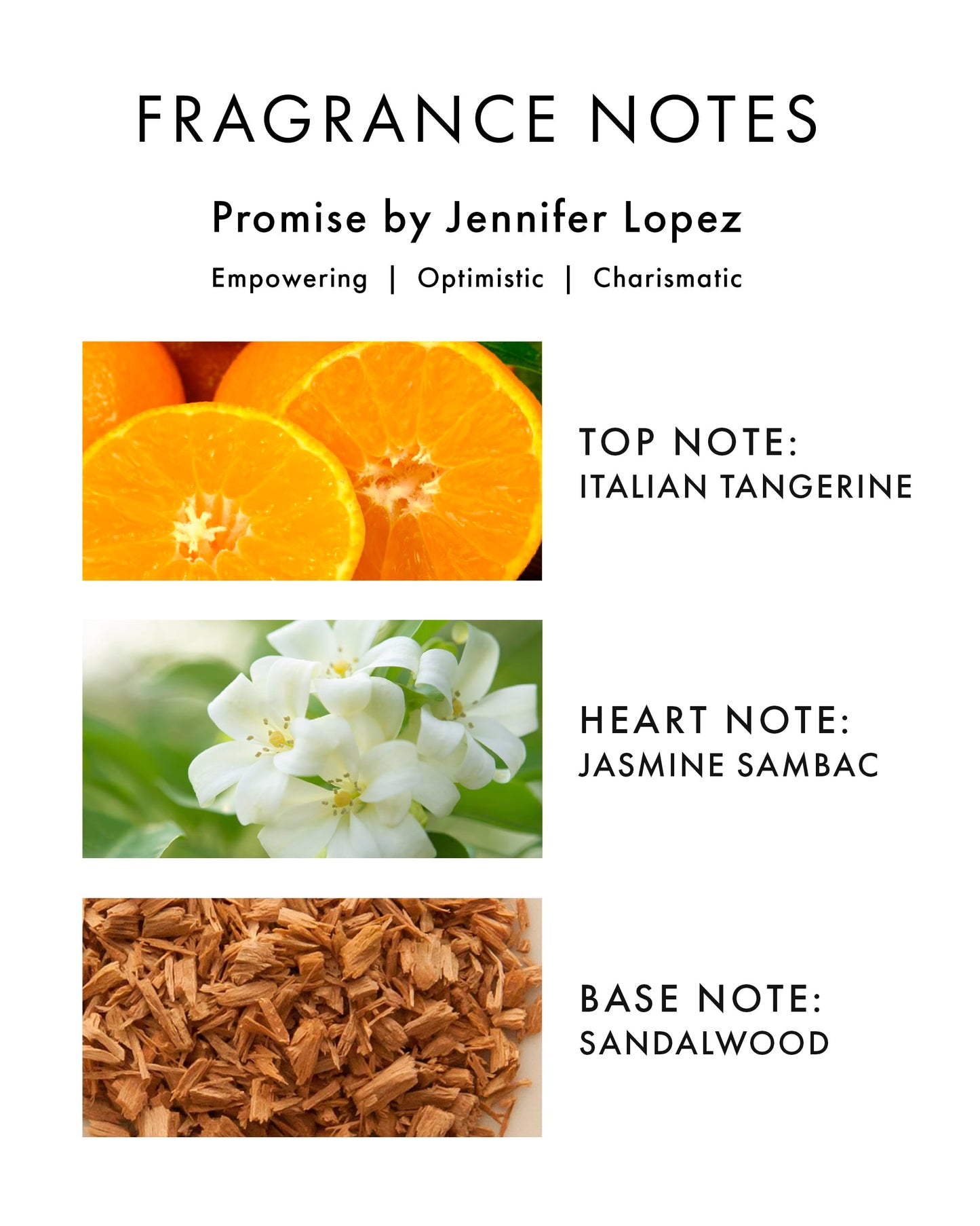 Jennifer Lopez Promise Perfume, Eau De Parfum Purse Spray 0.34 Fl Oz (10 ml) Floral Woody Womens Perfume, Notes of Citrus, Amber, Dewy Honeysuckle
