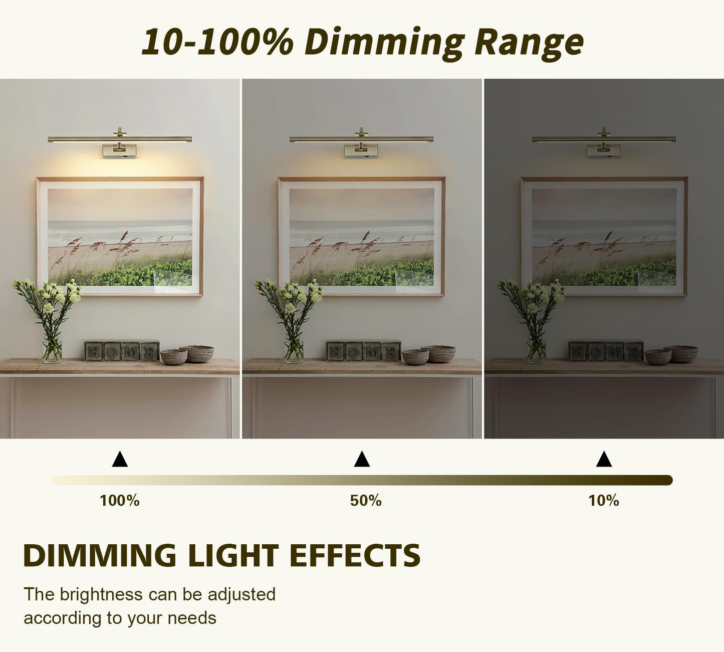 DESOOP Wireless Picture Light with Remote, Timer, 24 Inch, Antique Bronze, Model 7115