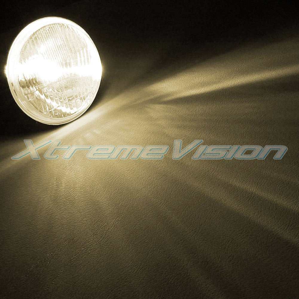 Xtremevision Hid Xenon Replacement Bulbs H11 - 4300K Bright White (1 Pair)