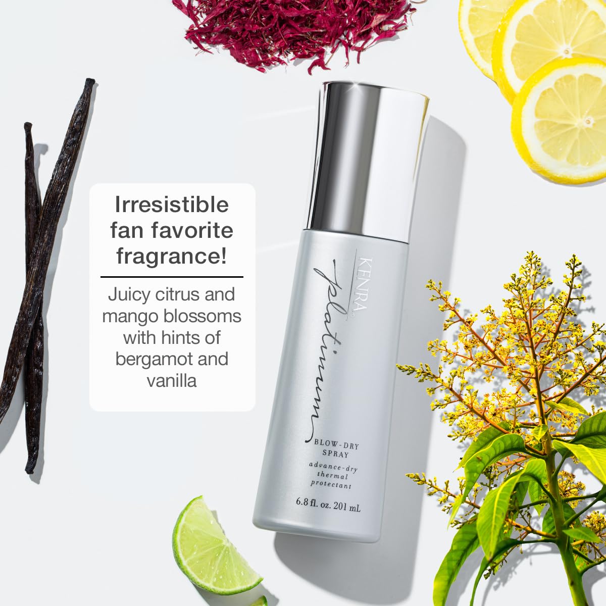 Kenra Professional Platinum Blow-Dry Spray | Time-Saving Heat Protectant | Detangles, Smooths, and Softens | Eliminates Frizz &