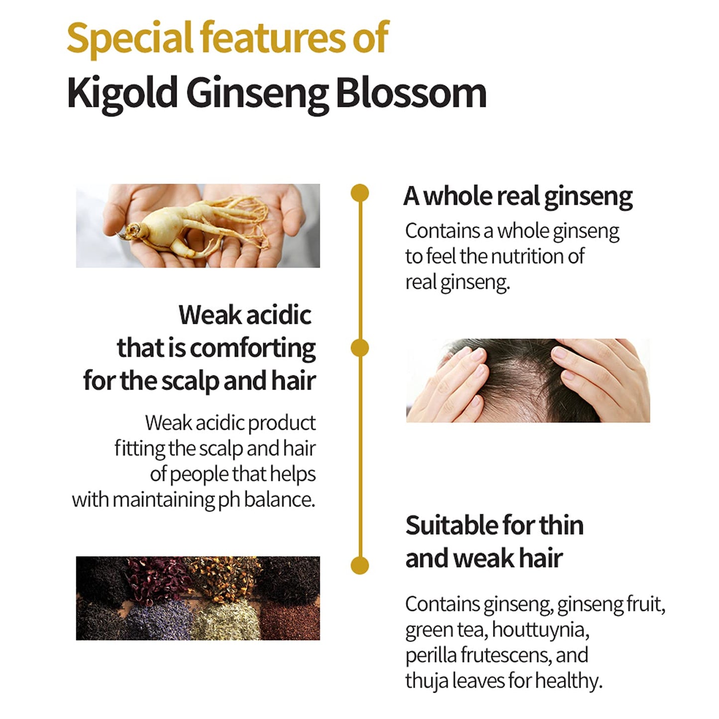 Daeng Gi Meo Ri- Ki Gold Ginseng Blossom 2 Shampoo Set, Real Ginseng Inside, Herbal Shampoo, Hair Growth, Preventing Hair Loss,