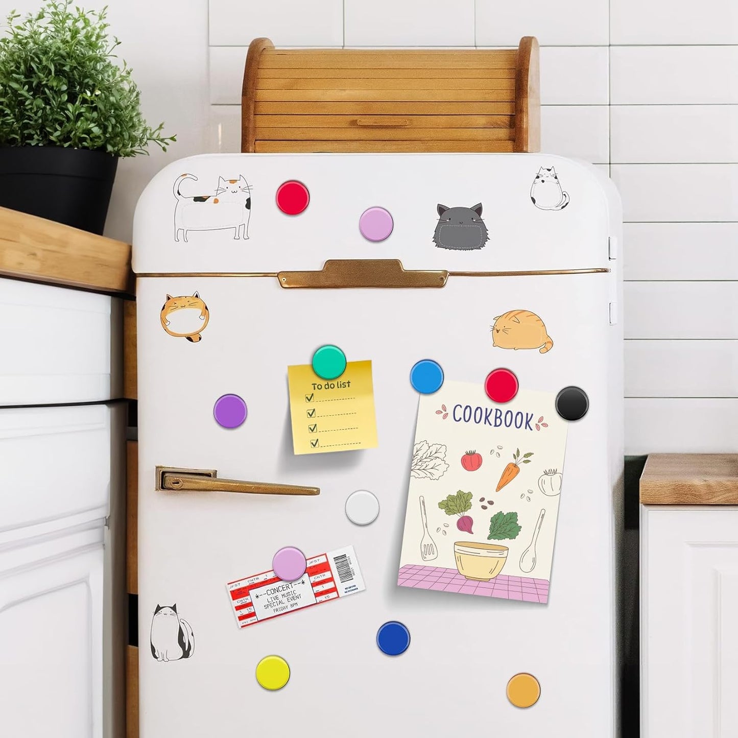 FINDMAG Colorful Fridge Magnets, 30 Pack Round Refrigerator Magnets, Dry Erase Board Magnets for Whiteboard, Decorative Magnet, Small Colorful Whiteboard Magnet, 10 Colors