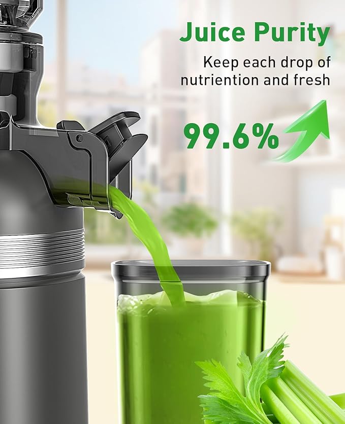 Cold Press Juicer Machines for Whole Vegetables & Fruits, Slow Masticating Juicer Maker with Wide Feed Chute, High Juice Yield, Easy to Clean, Gray