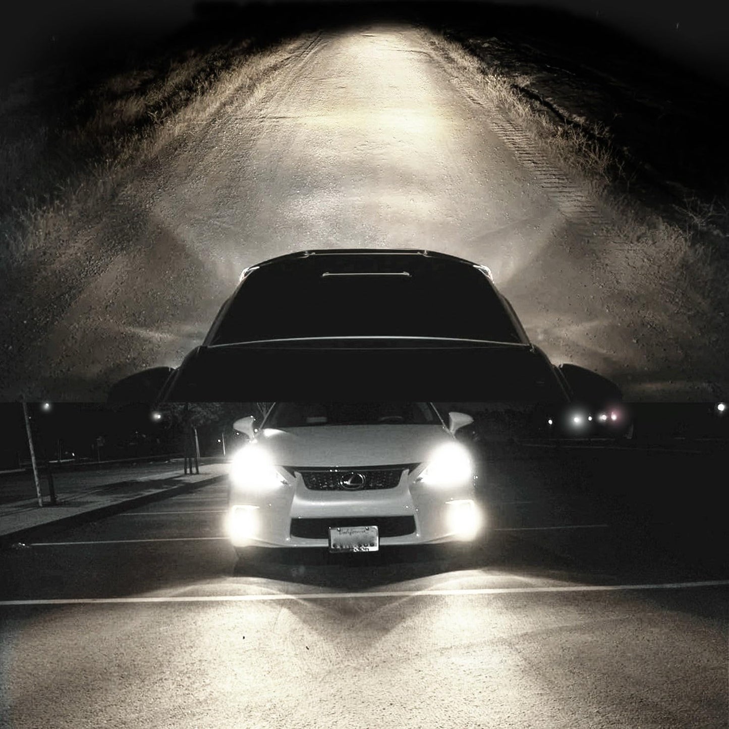 H11B Halogen Headlight Bulb Fit Elantra  Santa Fe  Sonata. Kiia Forte  Optima  Optima Ex stylish  Soul  Sportage 12V 55W White 5000K Long Life 2 Pack