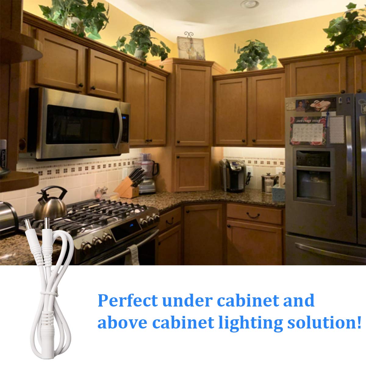 Wobane Led Strip Lights 32.8Ft, Dimmable Warm White Tape, 600 Leds, Etl Listed, Remote Control, Model Zh403