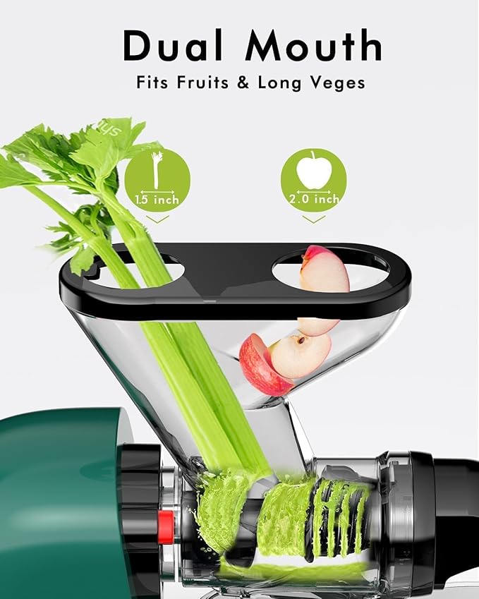 SIFENE Single Auger Masticating Juicer – Cold Press Slow Juicer for Celery, Carrots, Ginger & Fruits, Dual Feed Chute, BPA Free, Quiet Motor, Easy to Clean, Compact for Small Kitchens