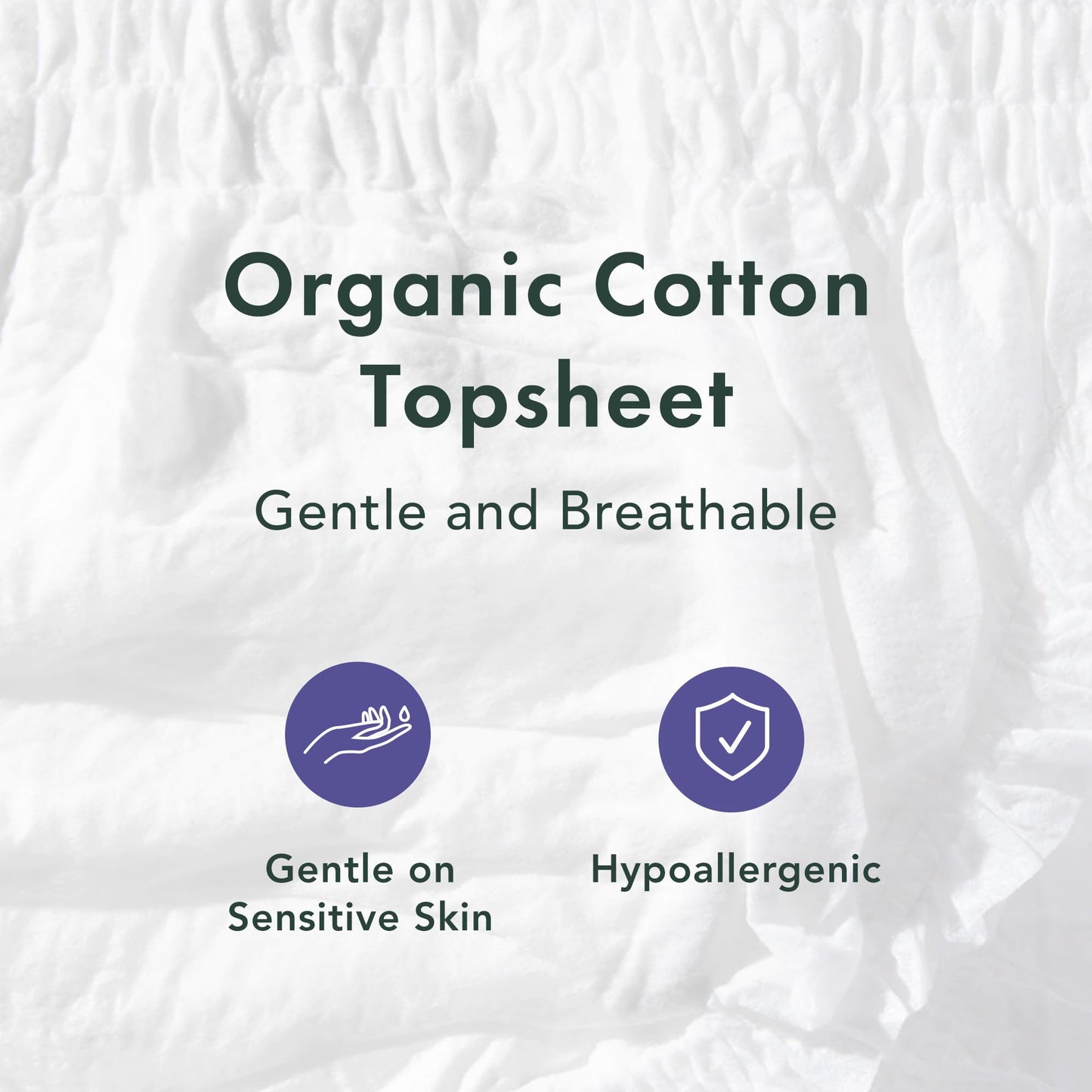 Rael Disposable Underwear for Women, Organic Cotton Cover - Postpartum Essentials, Leak Locker, Unscented, Maximum Coverage (Size L-XL, 12 Count)