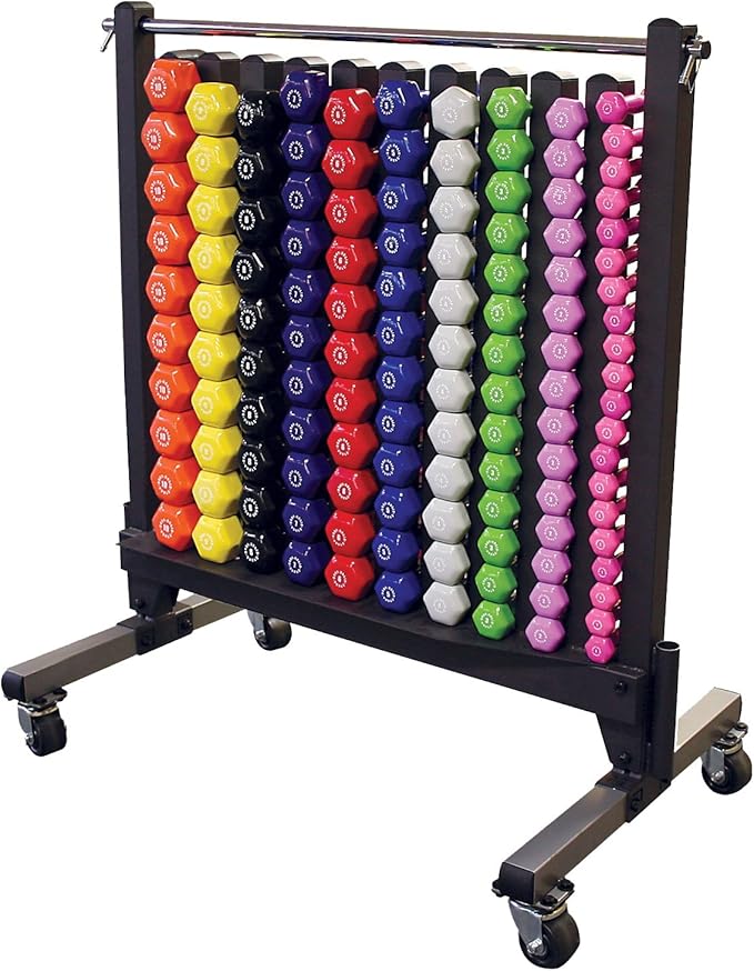 Body-Solid (GDR500-PACK) Dumbbell Rack Set with 50 Pairs of Vinyl Dumbbells, Commercial Weight Rack Holder for Home Gym, S...