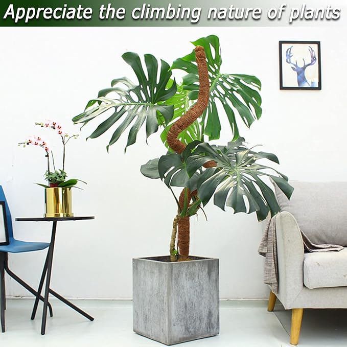 Moss Pole for Plants Monstera, 59 Inch Tall Bendable Moss Poles for Climbing Plants Indoor, Large Handmade Plant Pole Sticks, Coco Coir Plant Support Stakes for Potted Plants, Pothos
