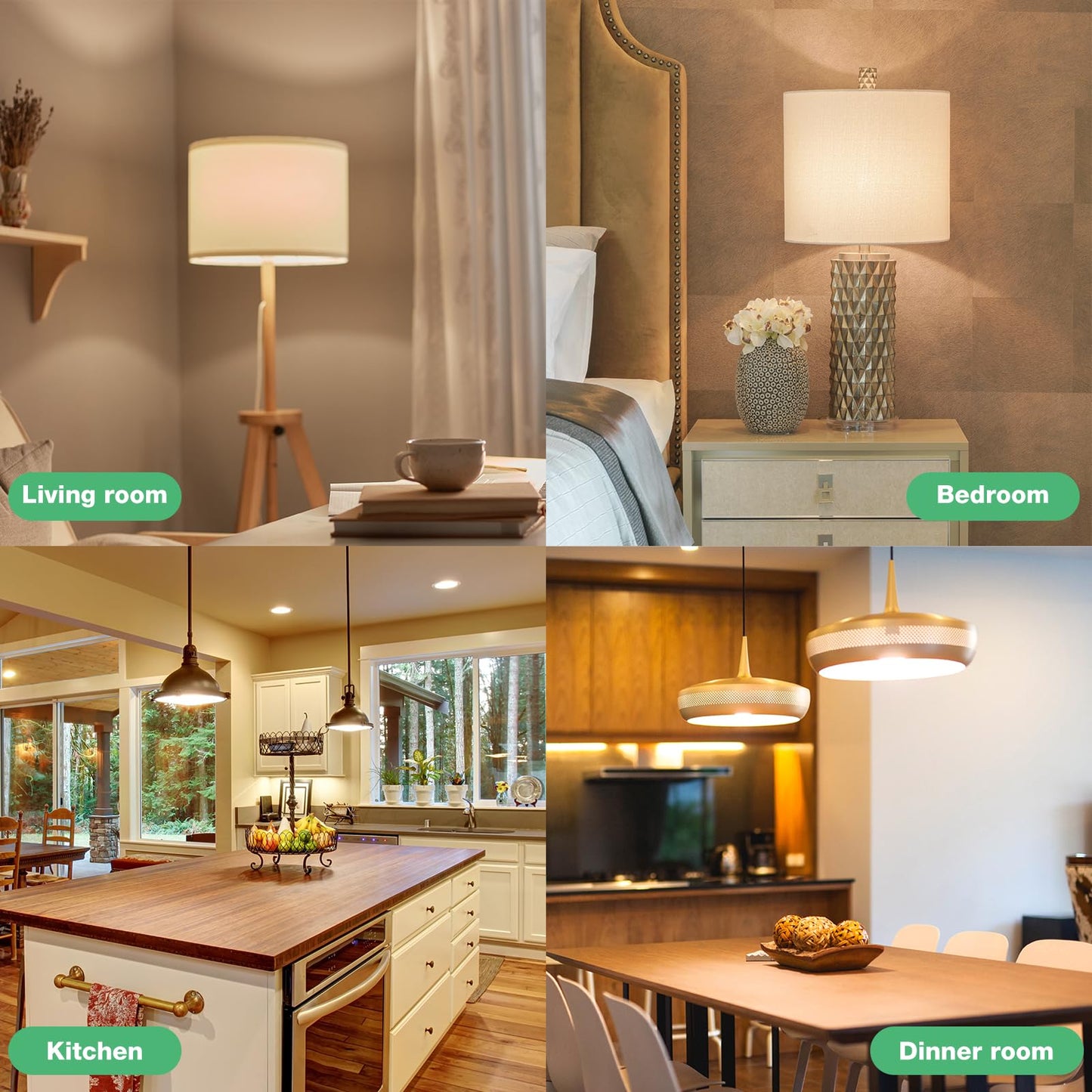Degnju 48 Pack Led Light Bulbs 60 Watt Equivalent  A19 5000K Daylight  800 Lumens  E26 Base  Non-Dimmable  8 Watt Energy Efficient Led Bulbs For Home Lighting