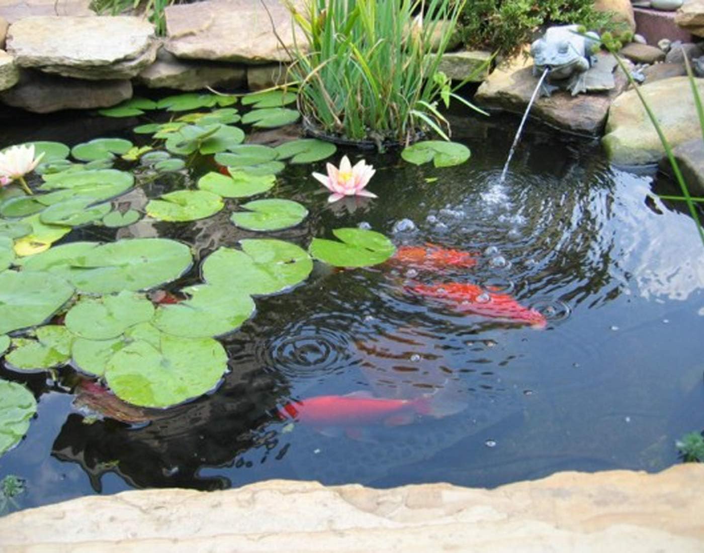 Small Pond Liner, 4 x 7 Feet 20 Mil Pond Liners for Outdoor Ponds, Black Pond HDPE Liner for Waterfall, Fish Ponds, Garden Fountain