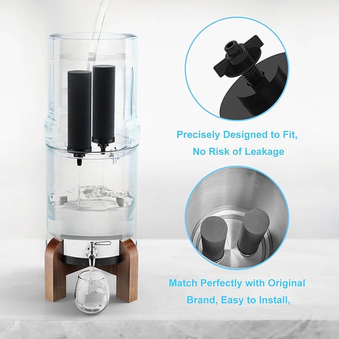 Water Filter Replacement for Berkey, Black Purification Elements, Activated Carbon Filters, Compatible with Berkey Gravity Water Filter System, Pack of 2