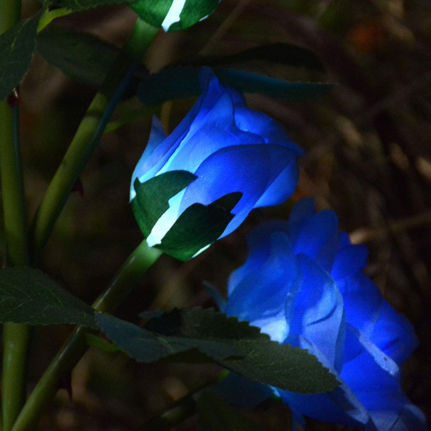 Homeleo Solar Powered Decorative Rose Garden Stake Lights - Waterproof, Realistic Artificial Flowers, Blue For Outdoor Decor