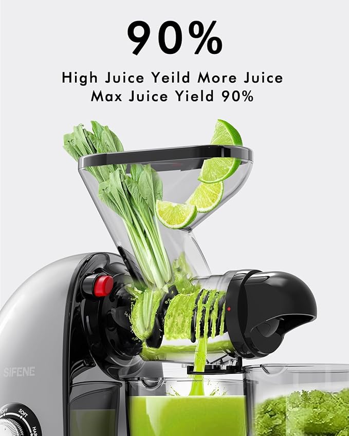 Slow Masticating Cold Press Juicer Machine - Dual Mouth, Quiet, Easy Clean, Gray