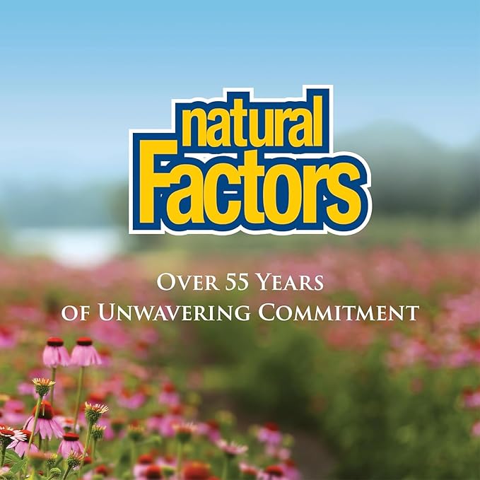 Natural Factors - Vitamin C 1000mg Time Release, Potent Antioxidant Protection, 90 Tablets