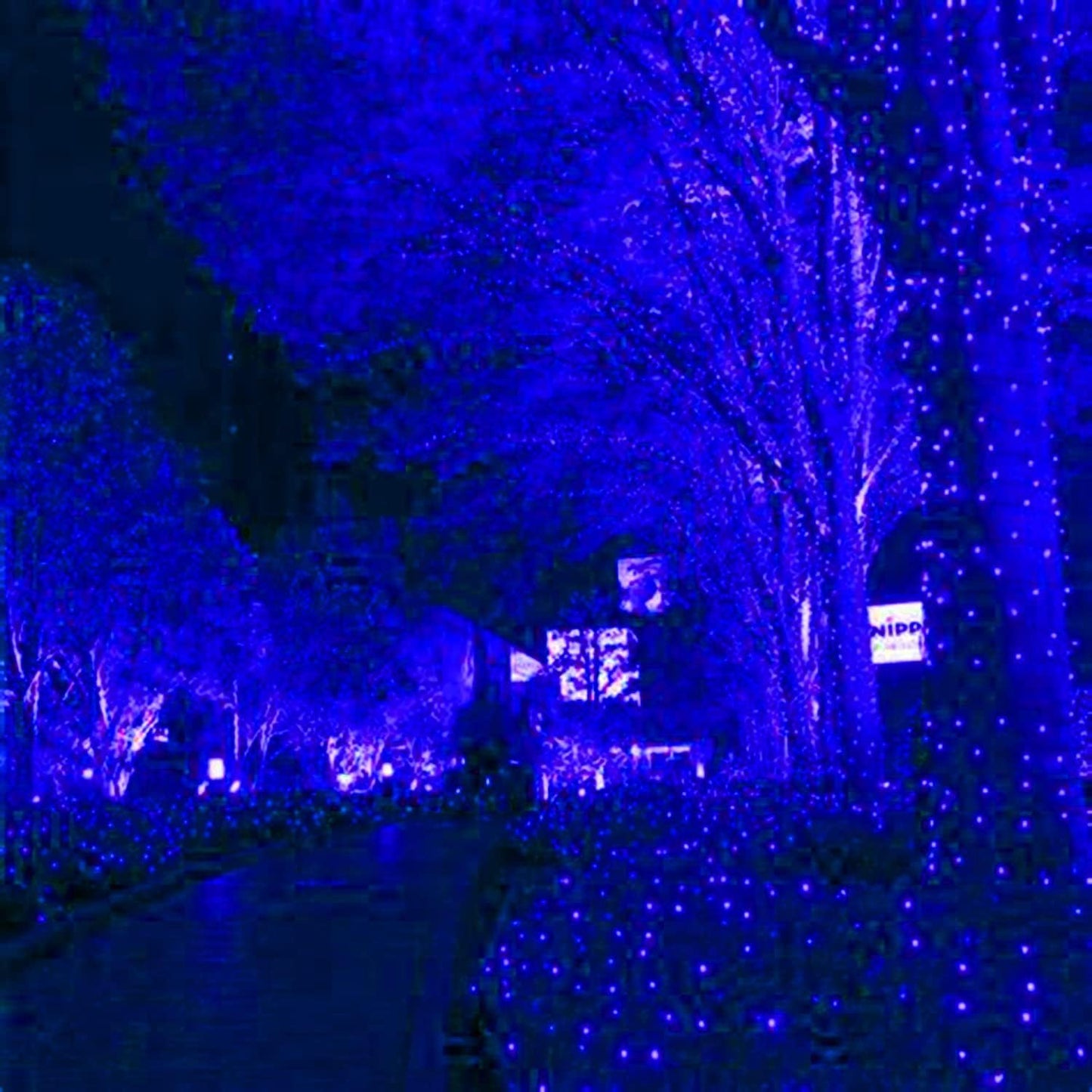 Hishiny Led Blue Christmas Net Lights Outdoor 6Ftx6Ft 144Led Green Wire  Connectable Indoor Outdoor Bush Mesh Net Lights String For Halloween Christmas Party Shrub Yard Tree(Blue)