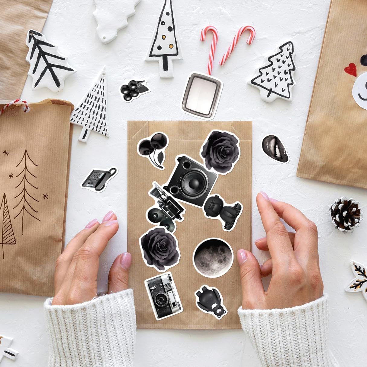 Black and White Aesthetic Retro Camera Moon Roses Vinyl Stickers Pack 50pcs for Laptop Skateboard Water Bottle Phone Case Decoration Kids Teens Adults Car Bike