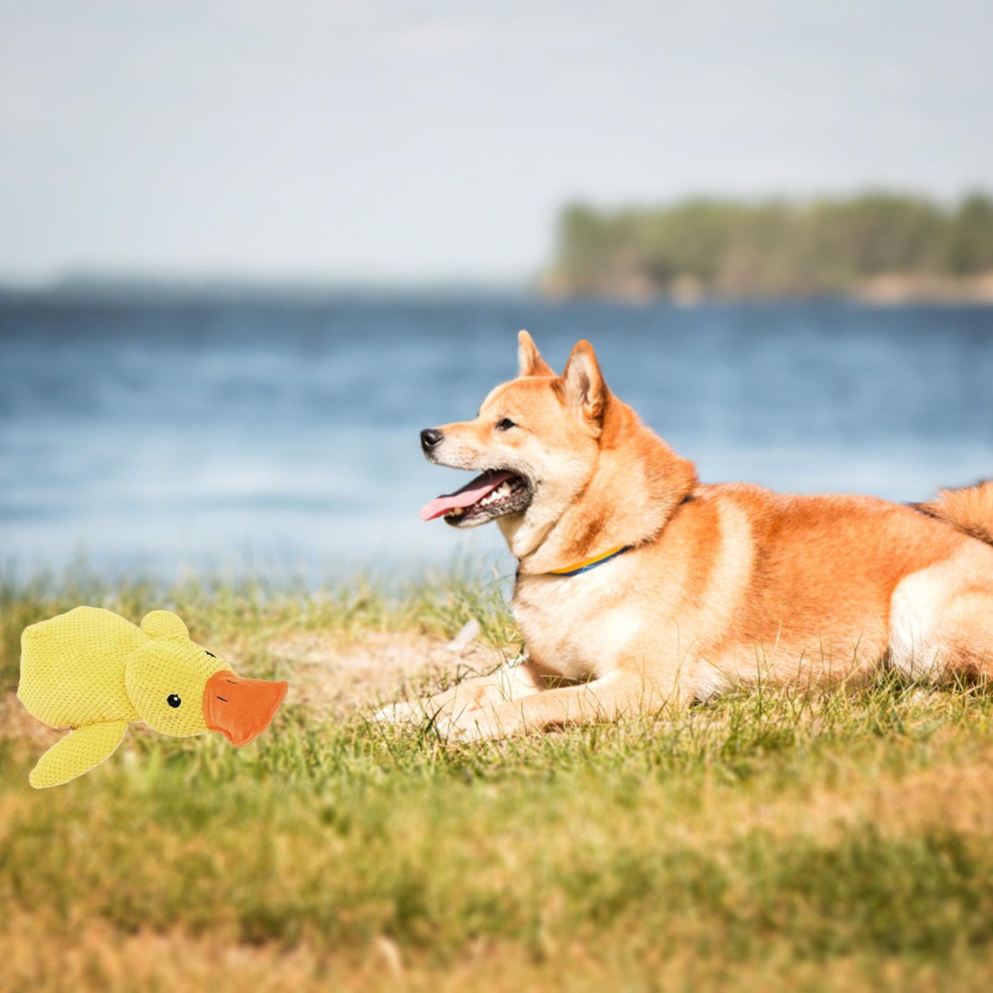Mellow Dog Calming Duck, 2025 New Yellow Duck Dog Toy, The Mellow Ducks Calming Pillow, Dogs Ducks Toy with Quacking Sound for Indoor Dogs (Yellow)