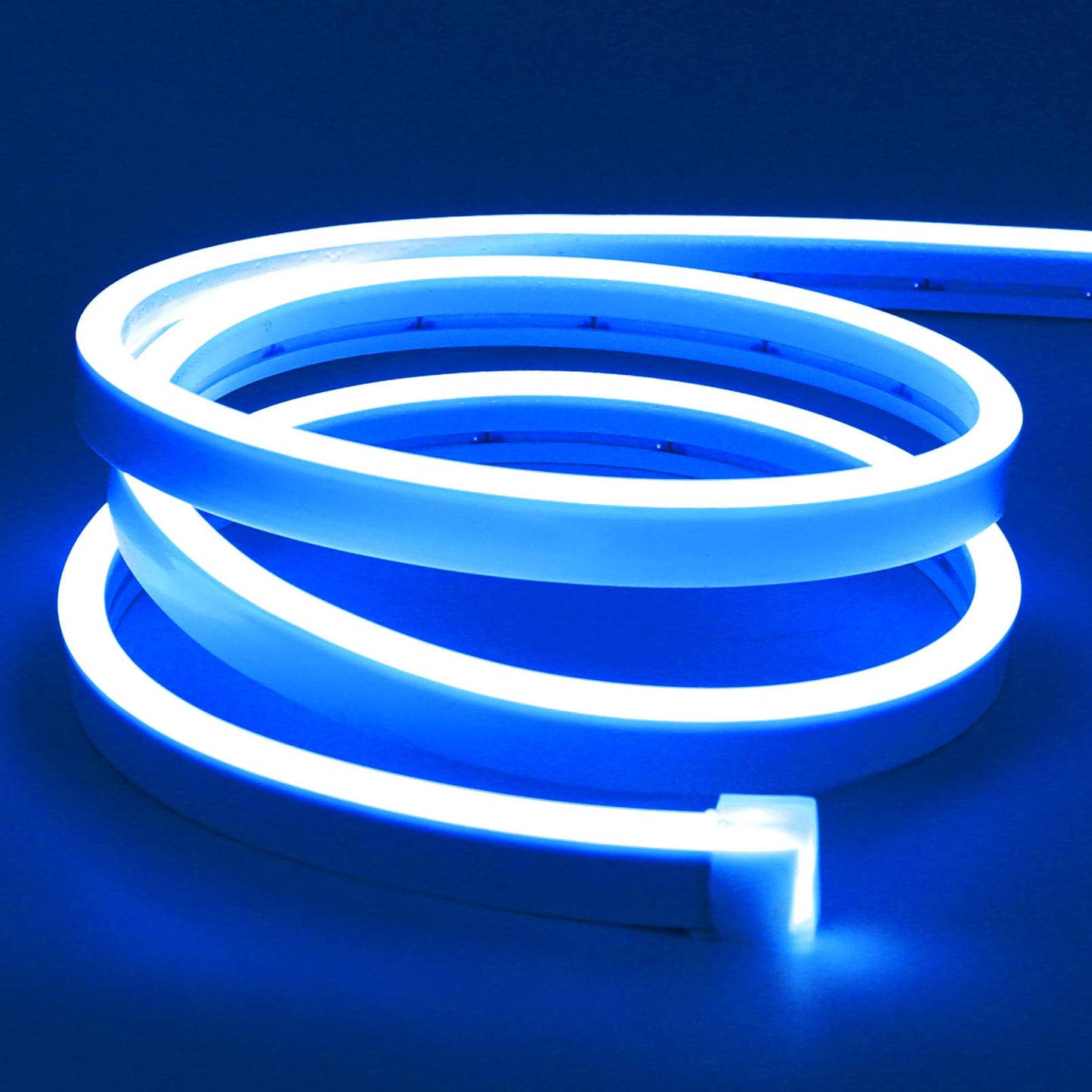 Lamomo LED Neon Flex Light Strip, 16.4ft Blue, 12V Waterproof Silicone Rope Light for Indoor/Outdoor Décor